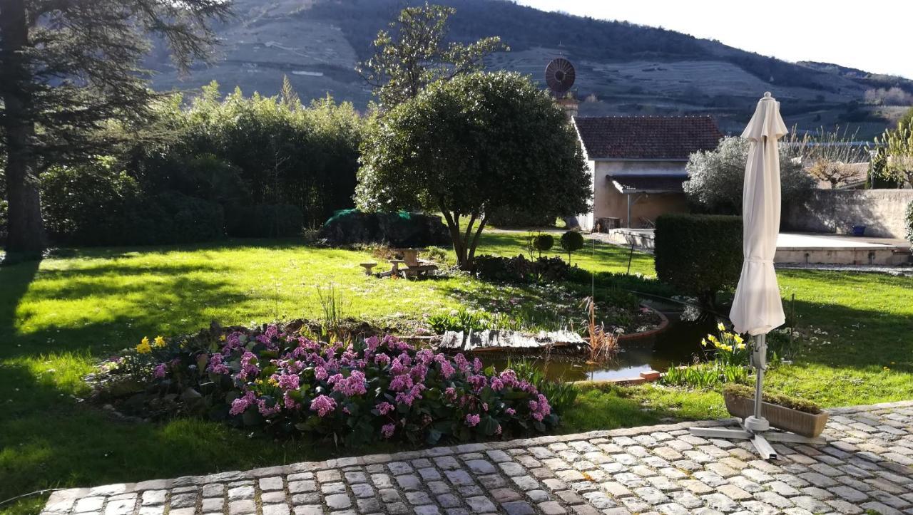 Bed and breakfast Les palmiers de mauves Extérieur photo
